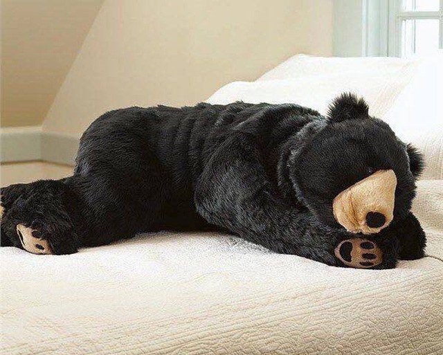 The-Great-Sleeping-Bear2