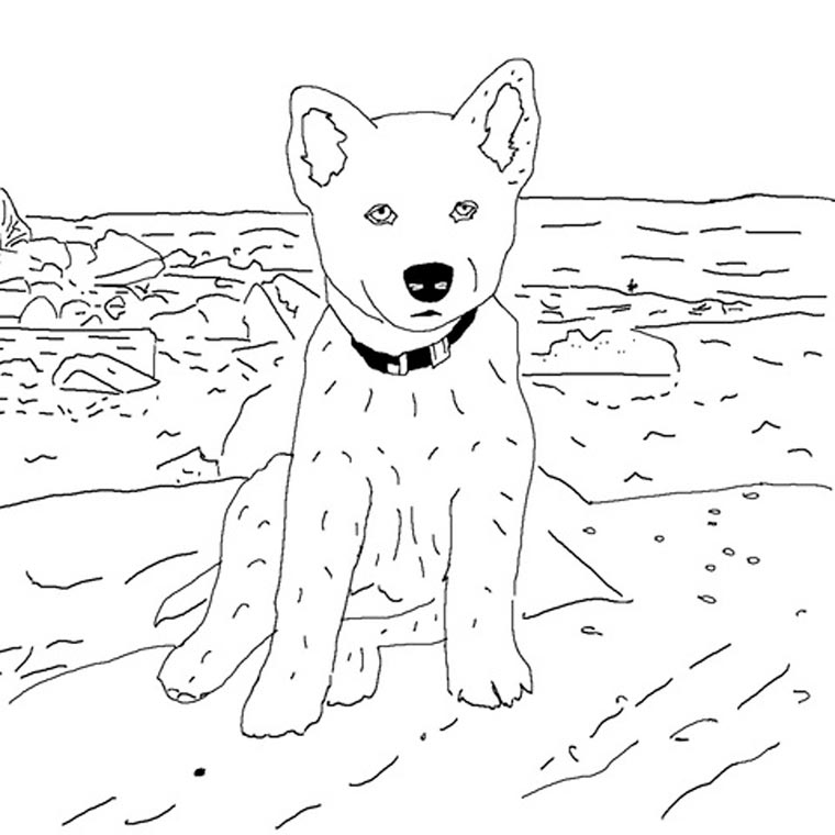Transformez Vos Photos Instagram En Coloriage Cd Mentiel Magazine