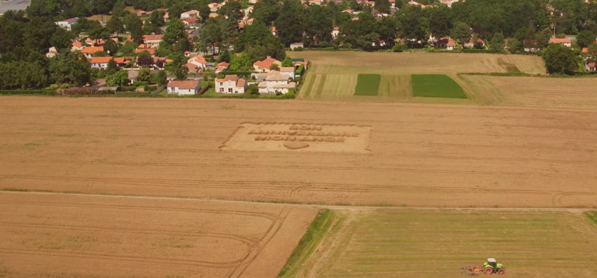 cropcircle-lu-1