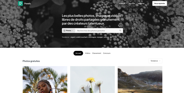 Pexels est une autre excellente source d'images libres de droits.