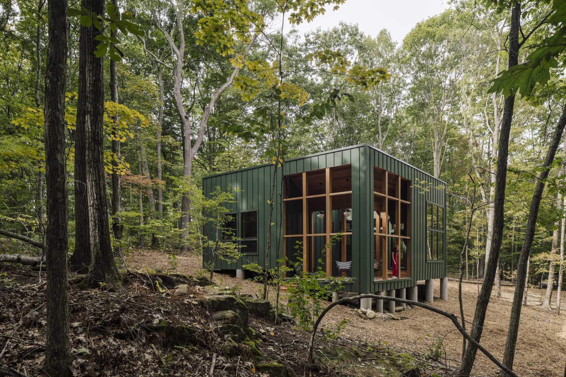 Cabane forestière Design